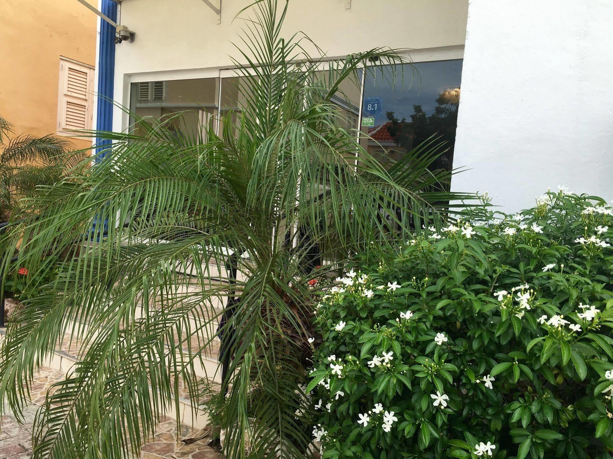 Curacao Suites Hotel 빌렘스타트 외부 사진